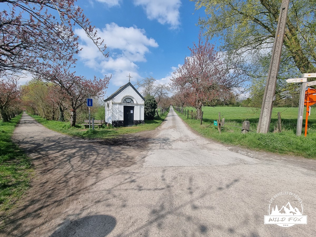 SGR Dijleland: Leuven – Sint-Joris-Weert |&nbsp;16,2km