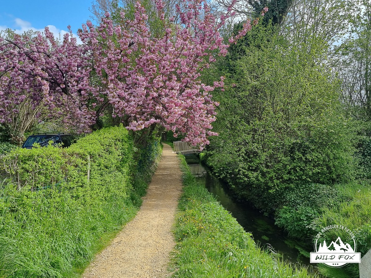SGR Dijleland: Tervuren – Veltem |&nbsp;16,3km
