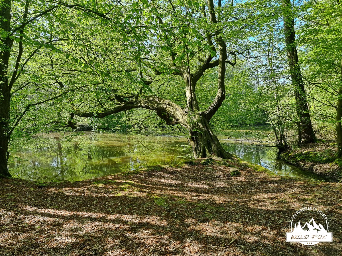 SGR Dijleland: Eppegem – Mechelen |&nbsp;16,8km