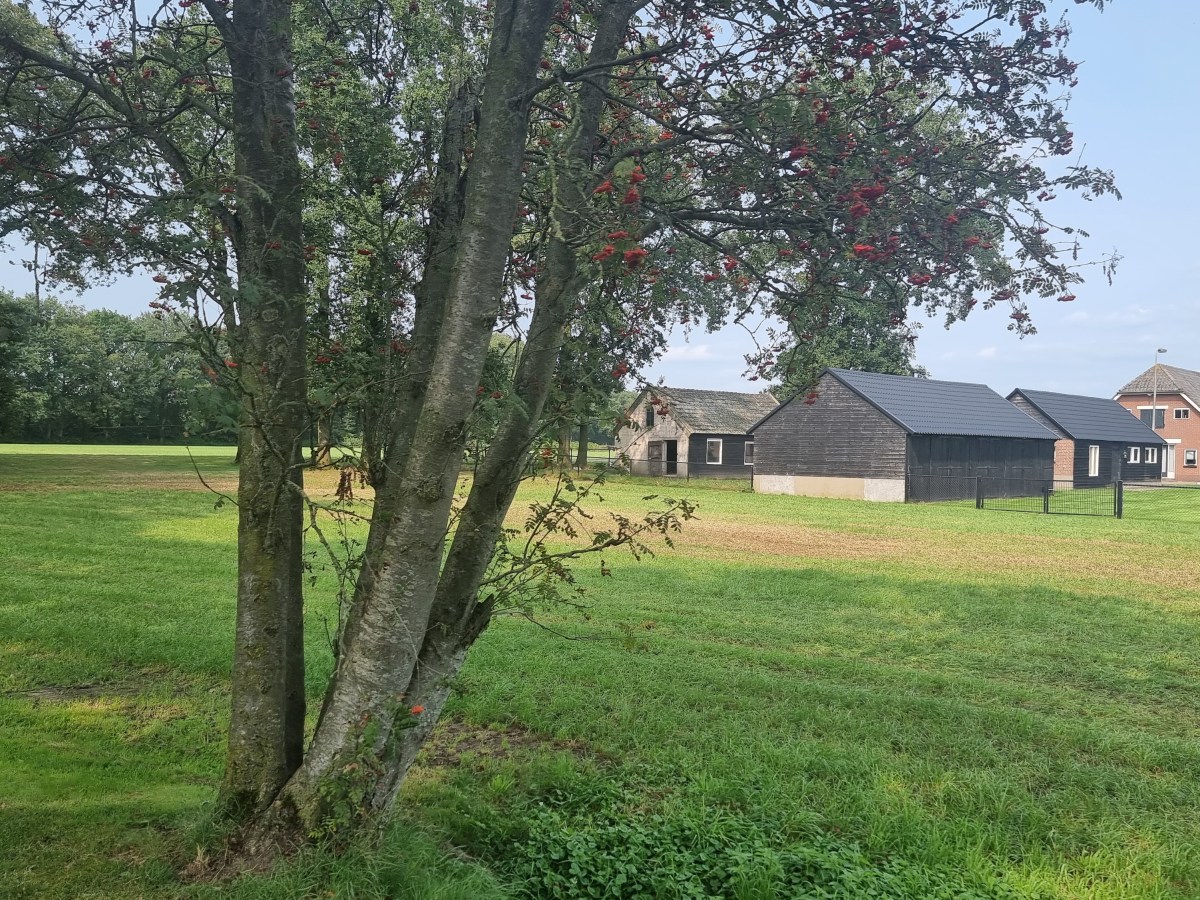 Aan de rand van de Veluwe |&nbsp;31km