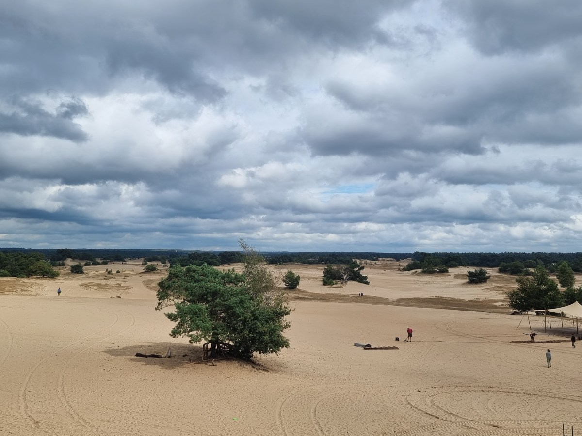 Veluwe: Kootwijkerzand |&nbsp;10km