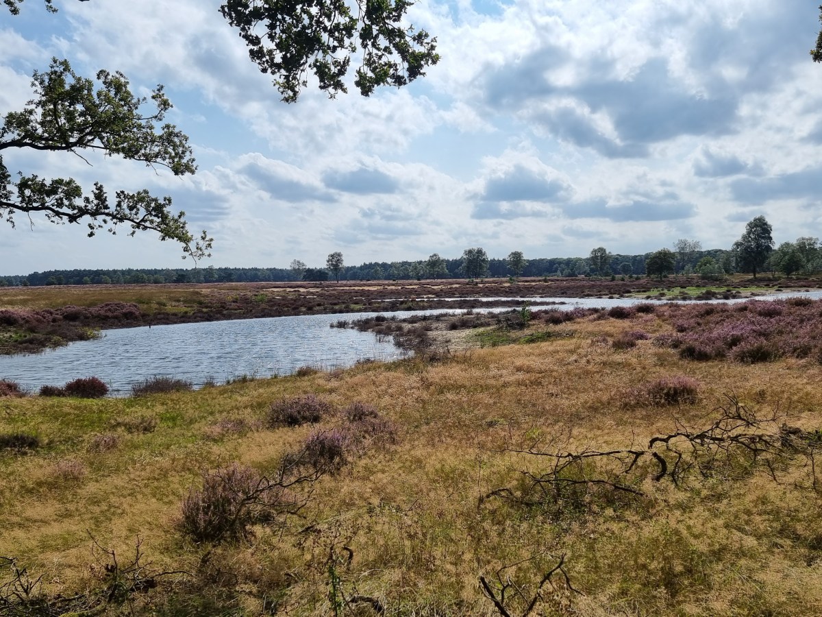 Voorthuizen – Garderen – Stroe |&nbsp;26km