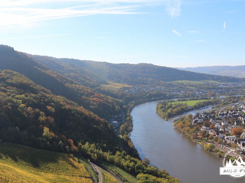 Bernkastel – Burchtruïne |&nbsp;4.2km