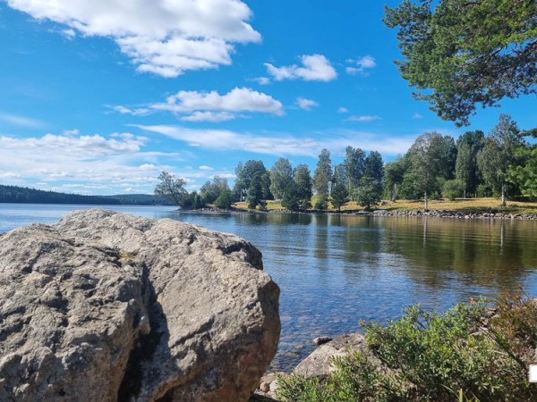 Högbergsfältet| 7km