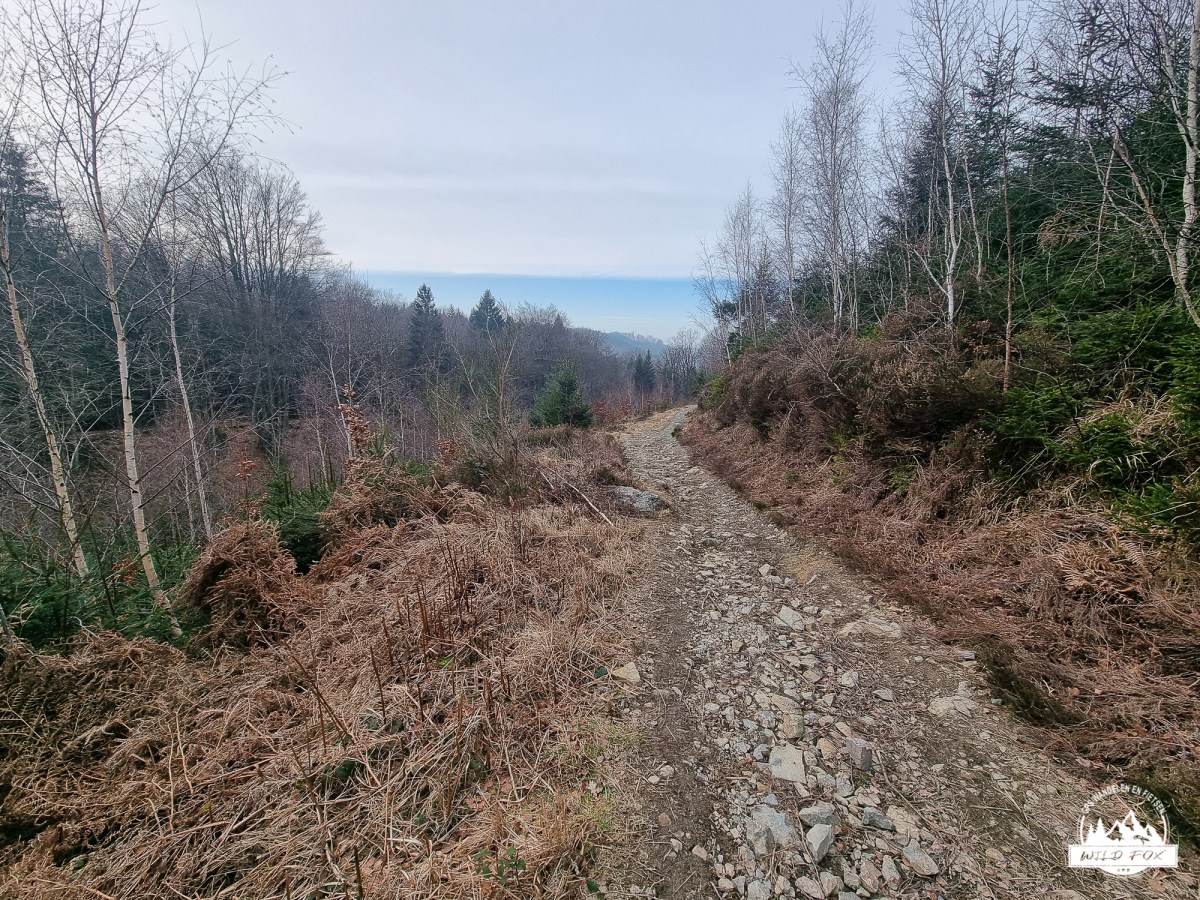 Chefna vallei |&nbsp;9.1km