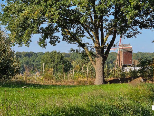 Gelrode: Eikelberg & wijngaardberg |&nbsp;11km